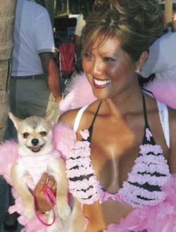Pet Masquerade and Parade 2005 photo - Duval Street, Key West